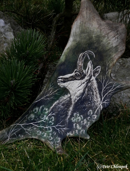 Obyvatel slovenských hor