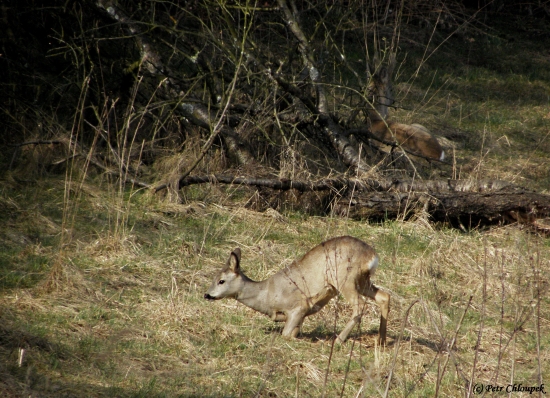 Na kolena na kolena jéé jéé jéé!! ;)