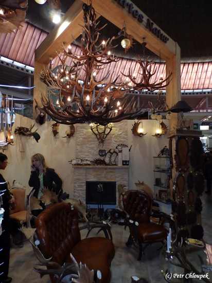 Silva regina 2014 (1)