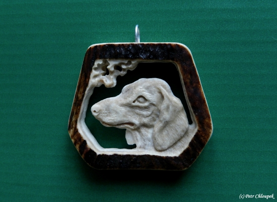 Hladkosrstý jezevčík