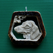 Hladkosrstý jezevčík