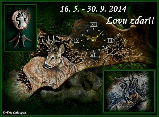 Doba lovu srnců začala!!