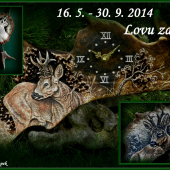 Doba lovu srnců začala!!