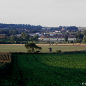 Sudický dvůr