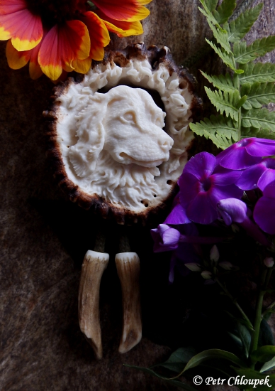 Cita (velššpringršpaněl)