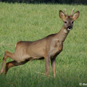 Také si musím protáhnout ztuhlé tělo ;)