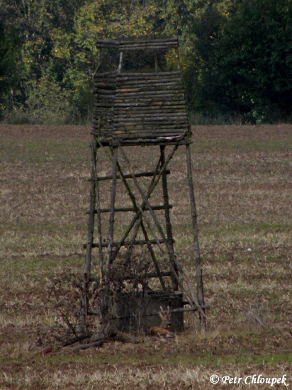 Odpočinek pod kazatelnou