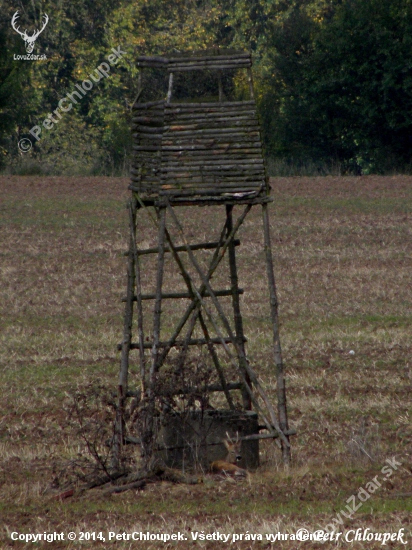 Odpočinek pod kazatelnou