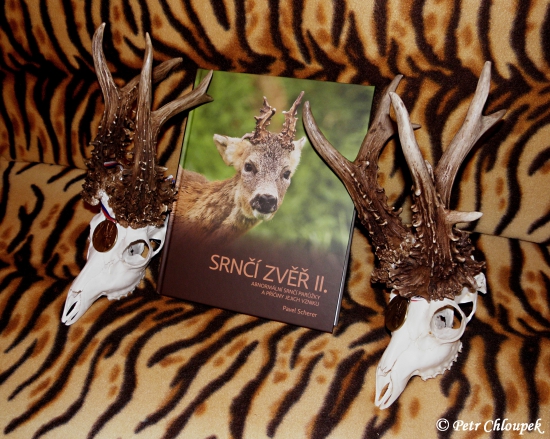 Dárek od zeleného kamaráda - Pavla Scherera