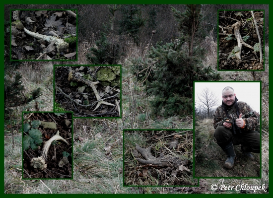 Životní rekord - 5 srnčích shozů během jednoho dne!!