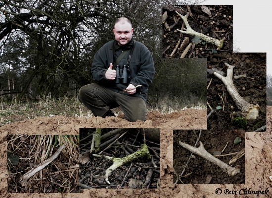 5 srnčích shozů během jednoho dne!!