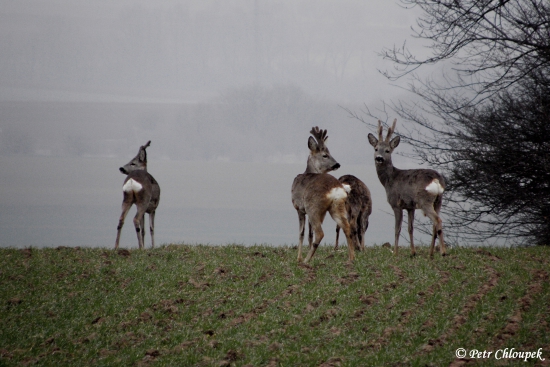 Nádherný pohled