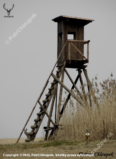 Srnčí u kazatelny