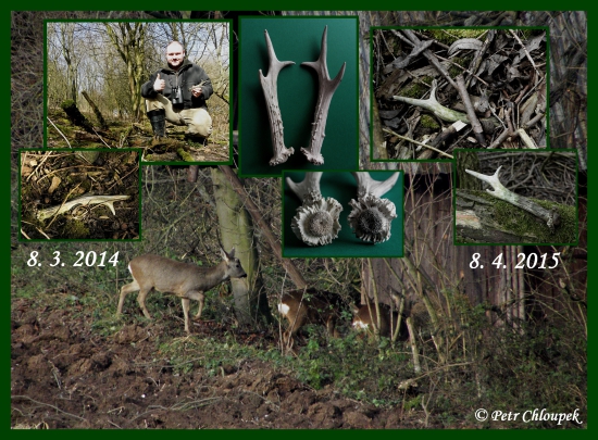 Po roce jsou opět spolu