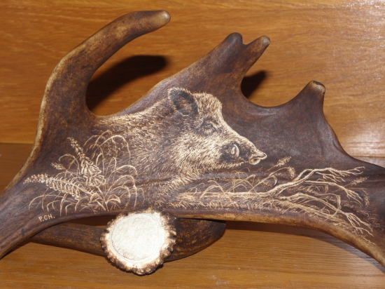 moje práce - kňour 2