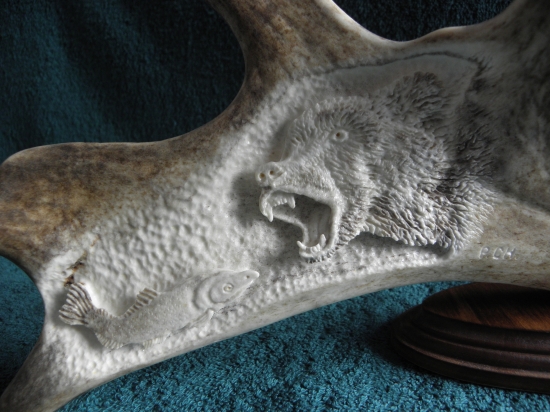 moje práce - grizzly s lososem