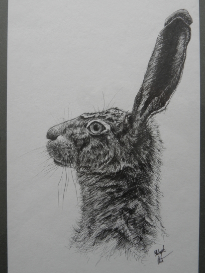 moje práce - zajíc