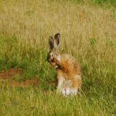 Nefoť mě, já se stydím...