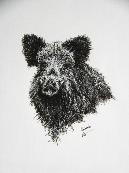 moje práce - kňour 2