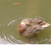 čistota pol života :-)