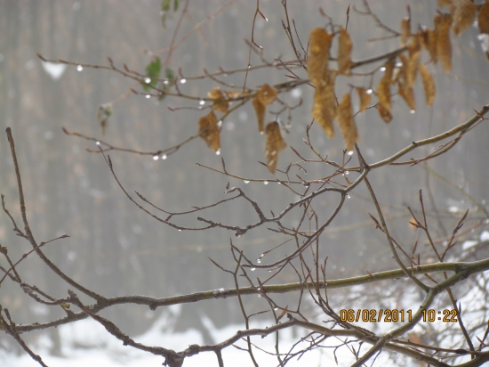 Keď zima začína plakať...