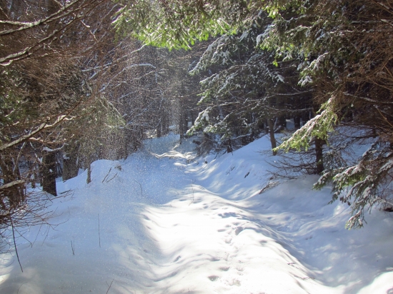 Keď sneží z modrej oblohy...