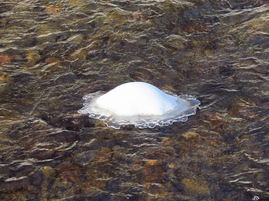 Posledná kvapka zimy