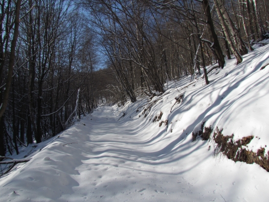Zimnou alejou na hrebeň