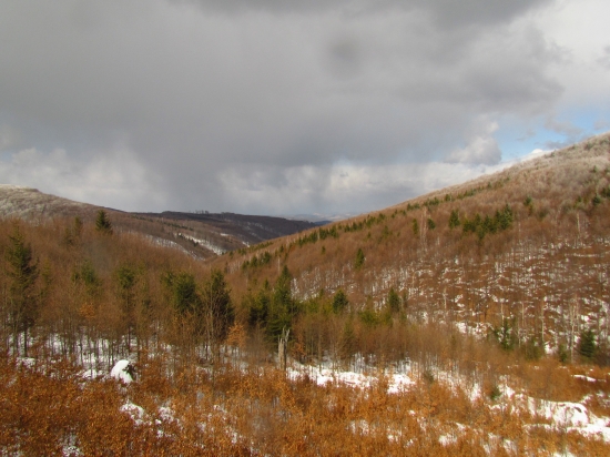 Jarné slnko sa pohráva s farbami