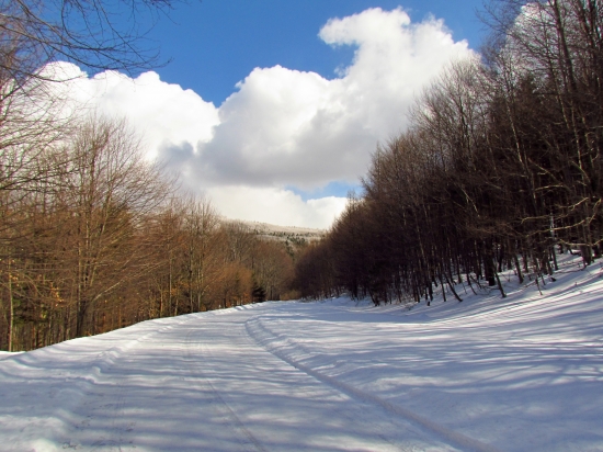 Jar si ešte počká