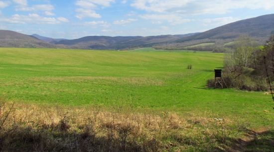 Panoramatický posed