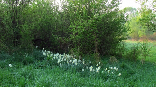 Aj remízky sa parádia...