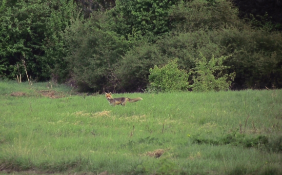 Obojstranné prekvapenie...