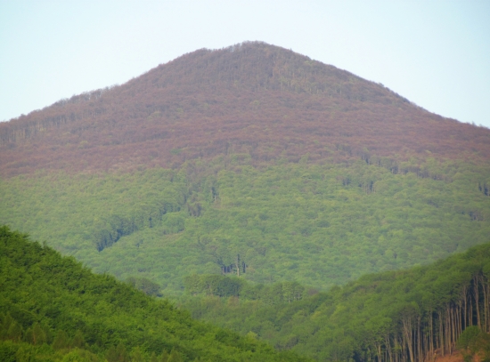 Keď jar stúpa na vrchol...