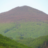 Keď jar stúpa na vrchol...