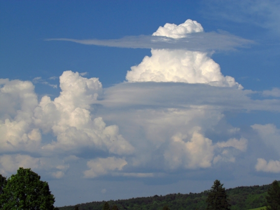 Cestou na fotopostriežku