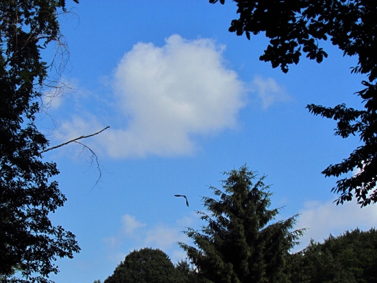 Hore, k výšinám...