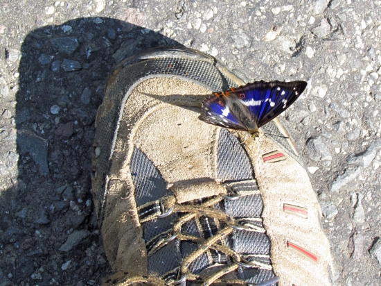 Dúhovec a moja obuv