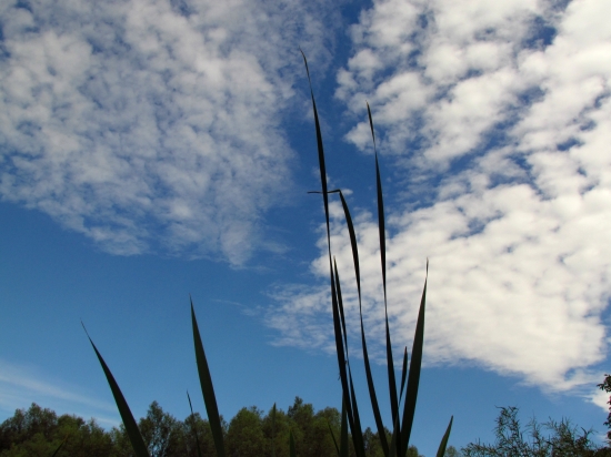 Variace na oblačné téma 1