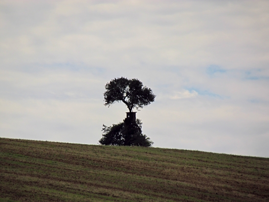 Posed ako výhľadňa