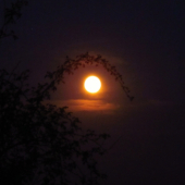 Luna v tŕni...