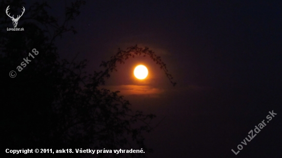 Luna v tŕni...