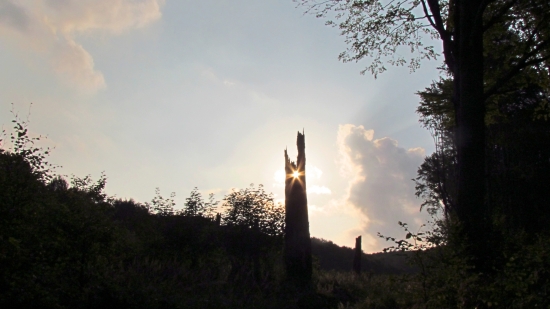 Ráno pod Vihorlatom