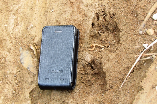 Niečo lasicovité ?