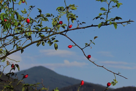 ...keď jeseň klope na dvere...