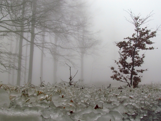 V kráľovstve ľadu