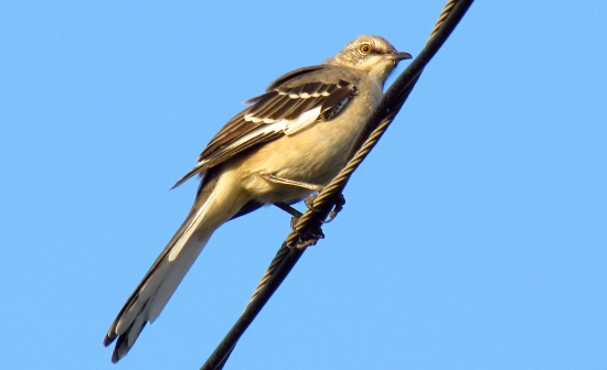 ...spomienka z teplých krajín