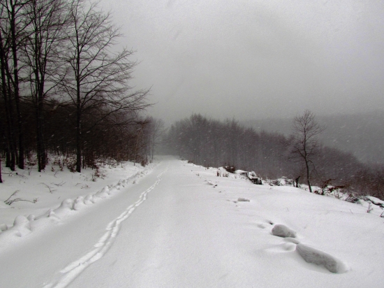 Zasneženou krajinou...