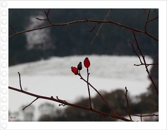 Keď  sa stráca krása ...