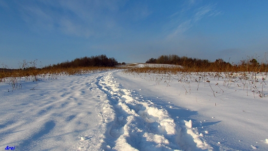 ...za modrým nebom...